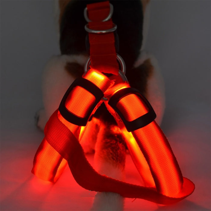 Bright LED Lighted Harness