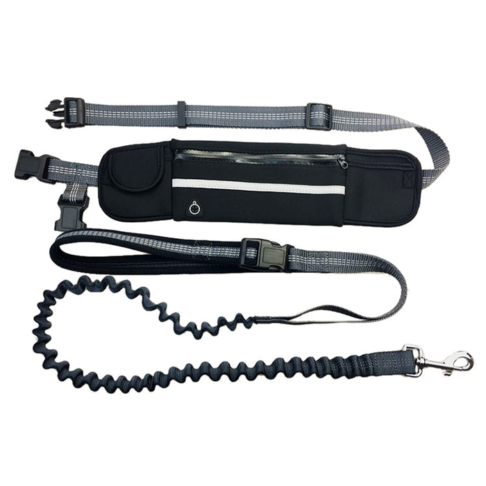 Hands-Free Dog Bungee Leash