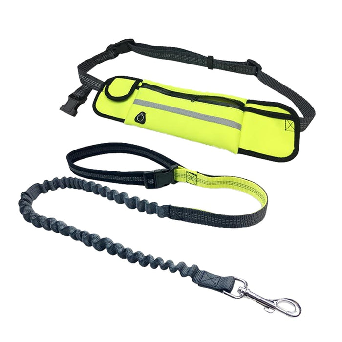 Hands-Free Dog Bungee Leash