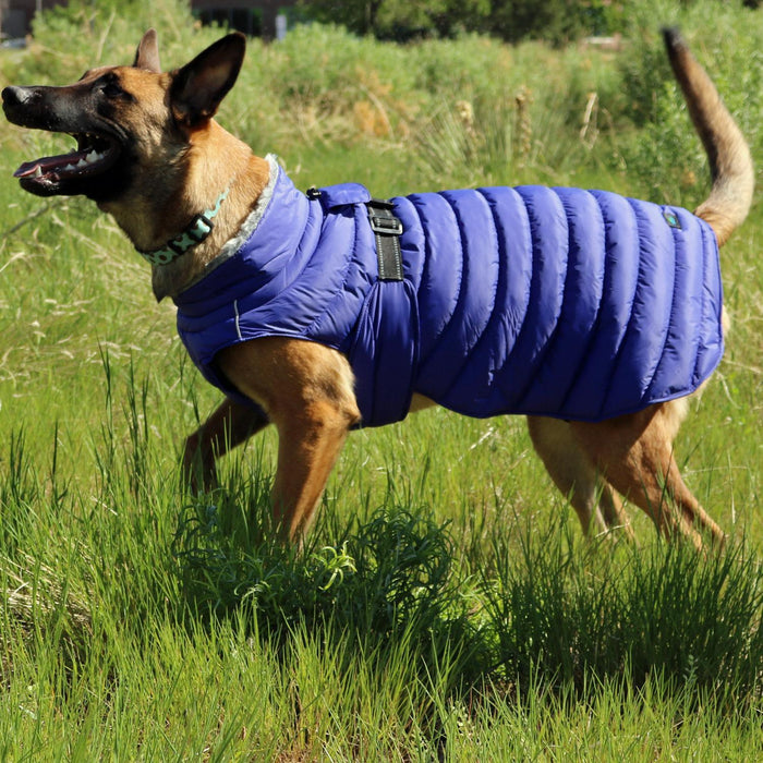 Alpine Extreme Weather Puffer Dog Coat by Doggie Design
