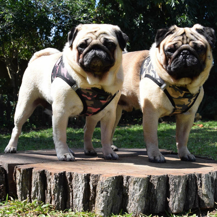 American River Camo Choke Free Dog Harness