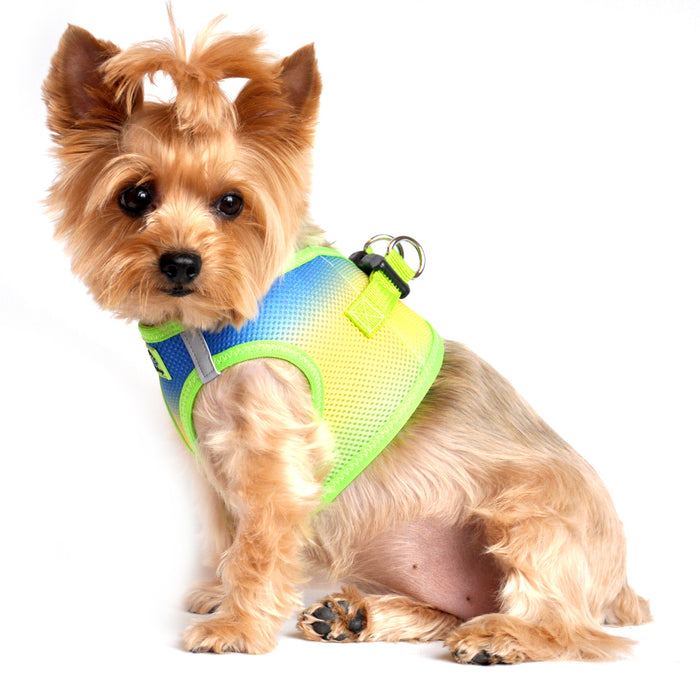 American River Choke Free Dog Harness by Doggie Design - Ombre Collection Cobalt Sport
