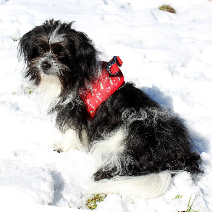 American River Choke Free Dog Harness Holiday Line - Candy Canes