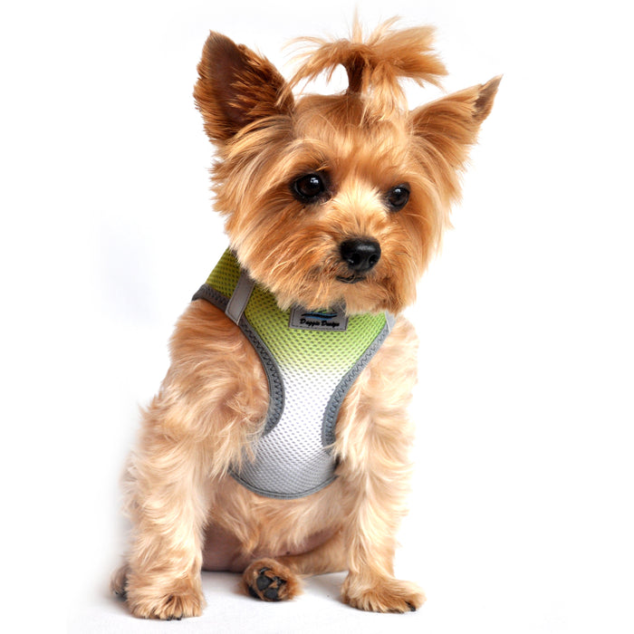 American River Choke Free Dog Harness by Doggie Design - Ombre Collection Limestone Gray