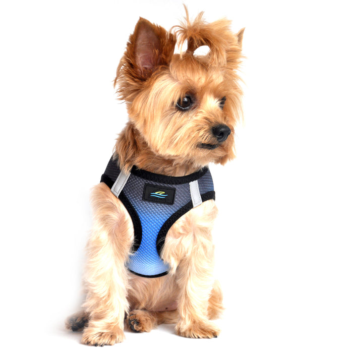American River Choke Free Dog Harness by Doggie Design - Ombre Collection Midnight Sky