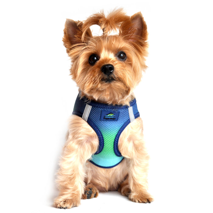 American River Choke Free Dog Harness - Ombre Collection Northern Lights