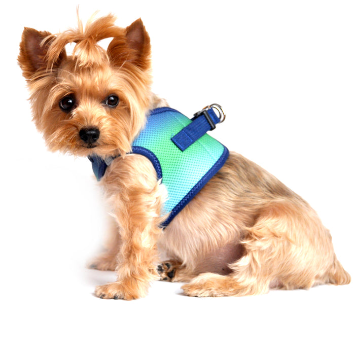 American River Choke Free Dog Harness - Ombre Collection Northern Lights