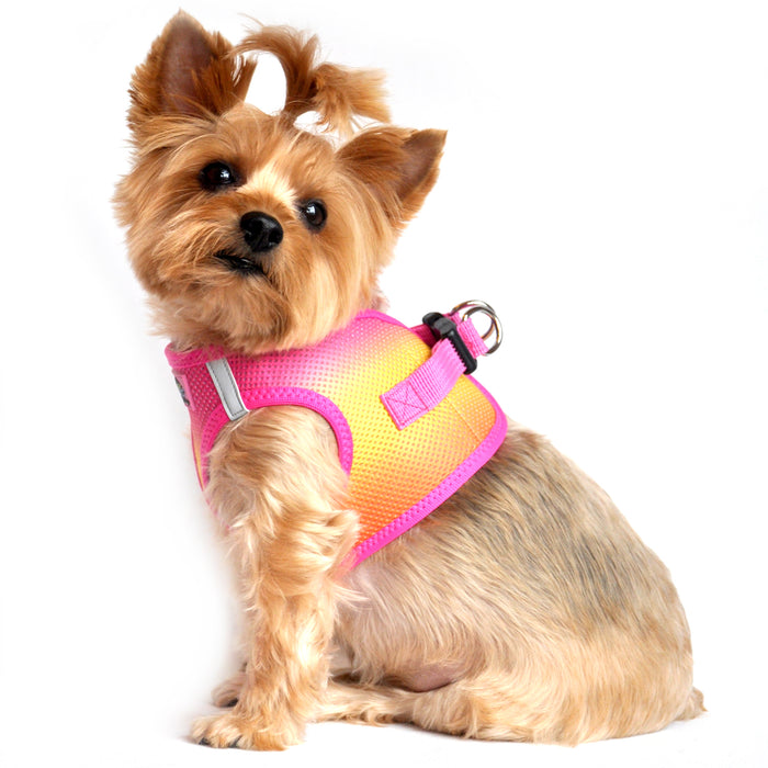 American River Choke Free Dog Harness - Ombre Collection Raspberry/Pink/Orange