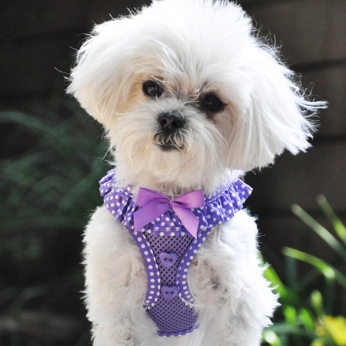 American River Choke-Free Dog Harness Polka Dot Collection Purple by Doggie Design