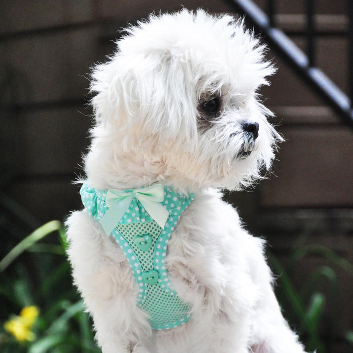 American River Choke-Free Dog Harness Polka Dot Collection Teal by Doggie Design