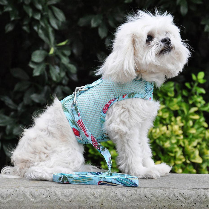 Cool Mesh Harness by Doggie Design