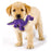 goDog Dino Bruto with Chew Guard Doggie Toy