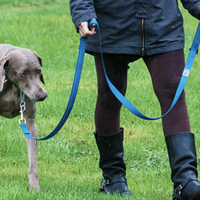 Primary Dog Leash