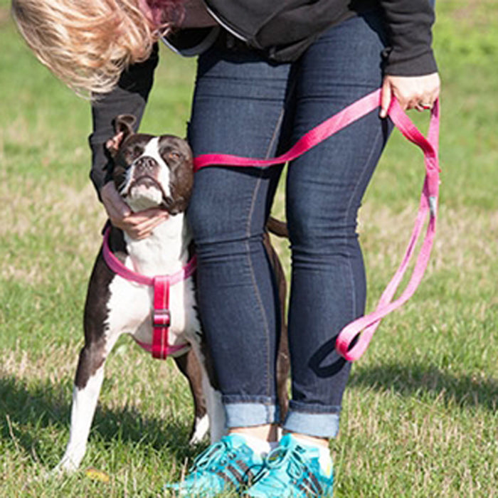 Primary Dog Leash
