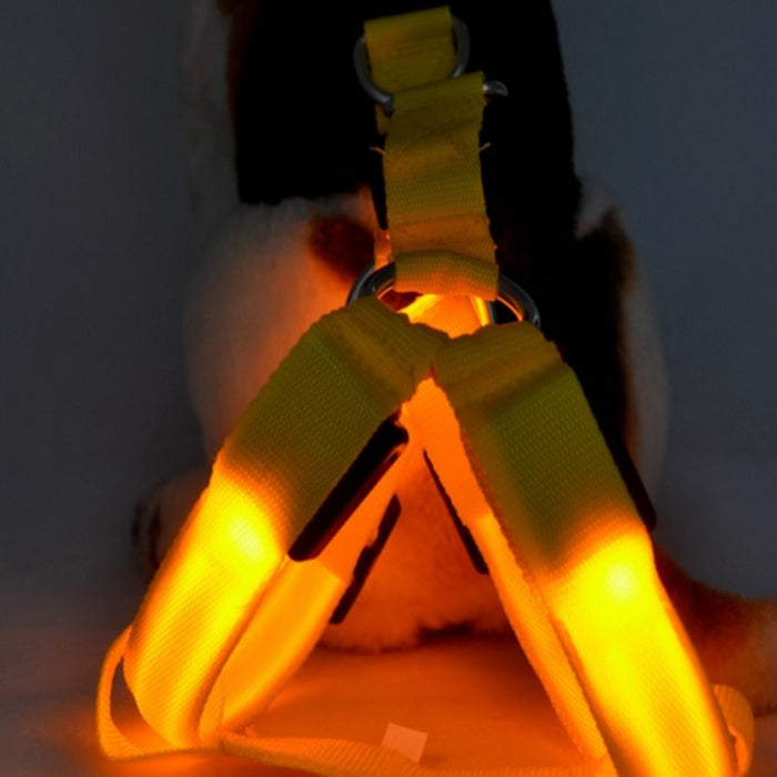 Bright LED Lighted Harness