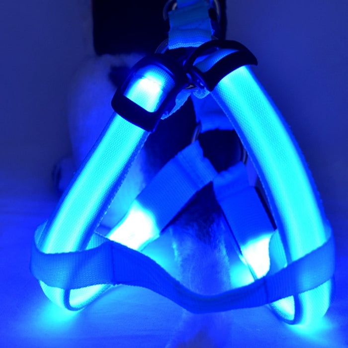 Bright LED Lighted Harness