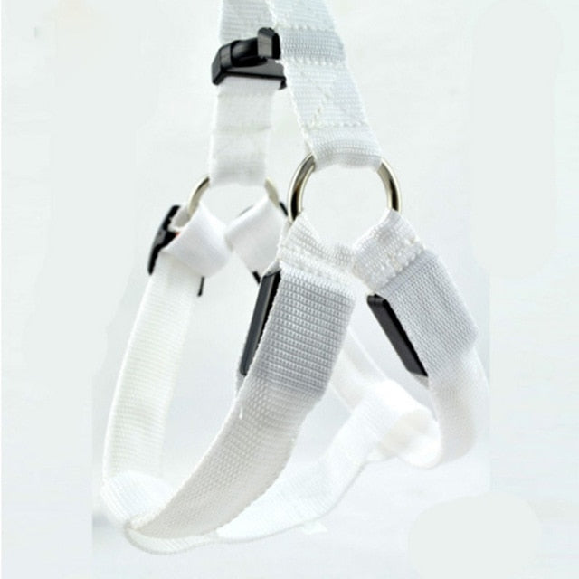 Bright LED Lighted Harness