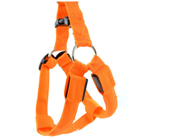 Bright LED Lighted Harness