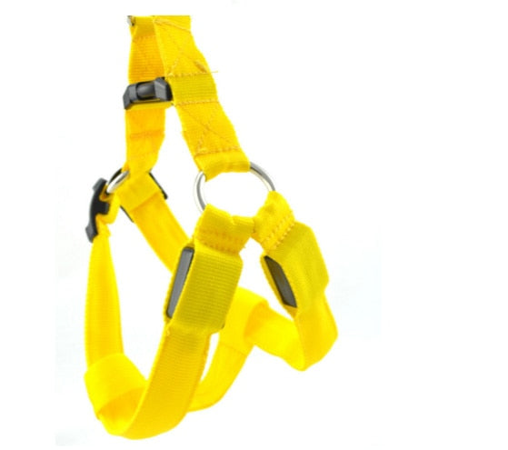 Bright LED Lighted Harness