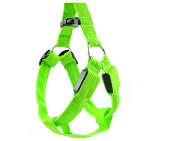 Bright LED Lighted Harness