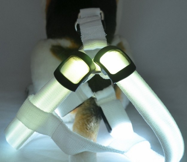 Bright LED Lighted Harness