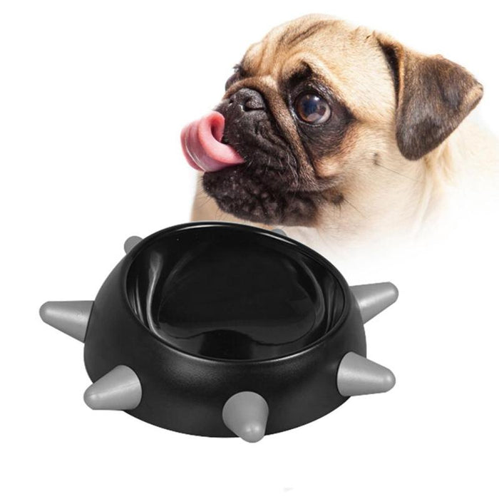 Punk Rock Doggie Bowl