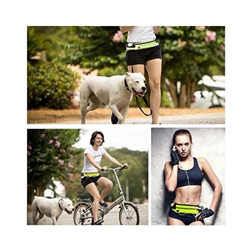 Hands-Free Dog Bungee Leash