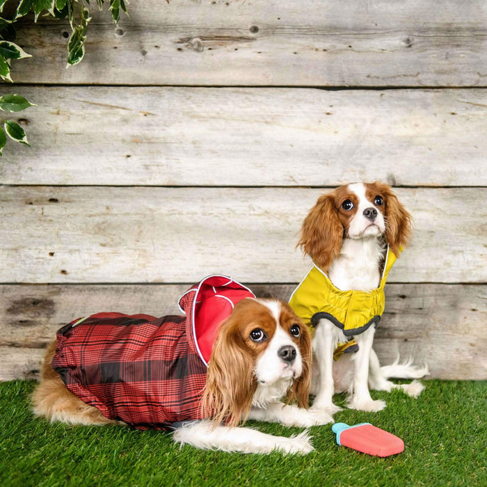 Reversible Elasto-Fit Dog Raincoat