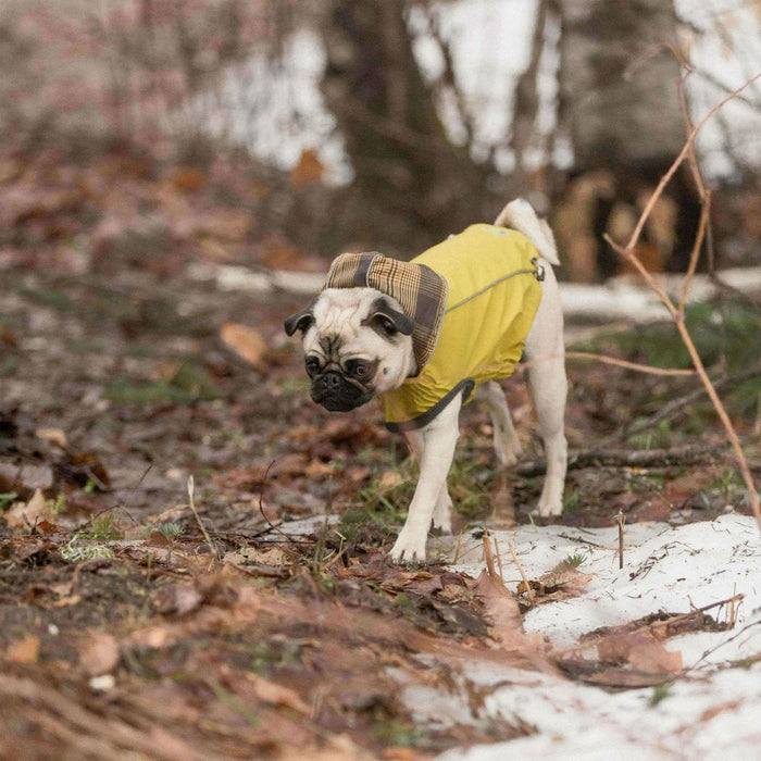 Reversible Elasto-Fit Dog Raincoat