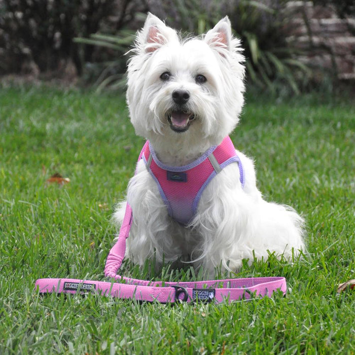 Doggie Design Soft Pull Traffic Dog Leash