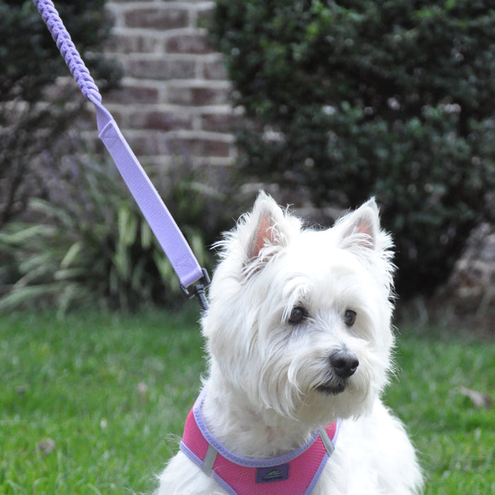 Doggie Design Soft Pull Traffic Dog Leash