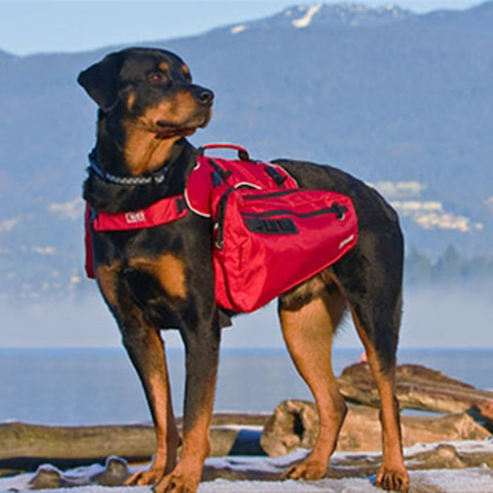 Ultimate Dog Trail Pack