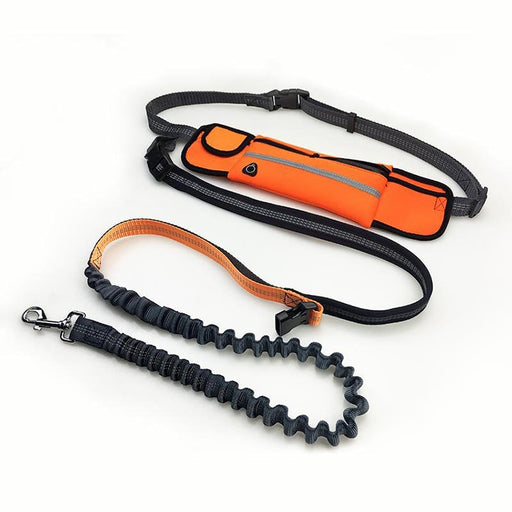 Hands-Free Dog Bungee Leash