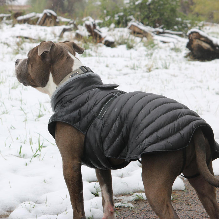 Alpine Extreme Weather Puffer Dog Coat by Doggie Design
