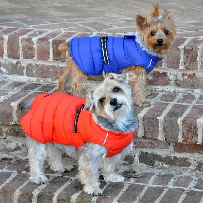 Alpine Extreme Weather Puffer Dog Coat by Doggie Design