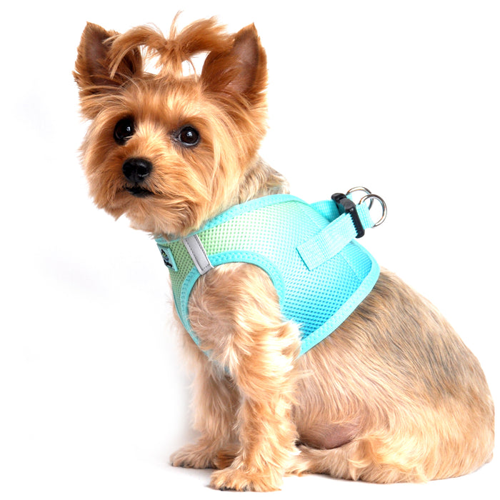 American River Choke Free Dog Harness by Doggie Design - Ombre Collection Aruba Blue
