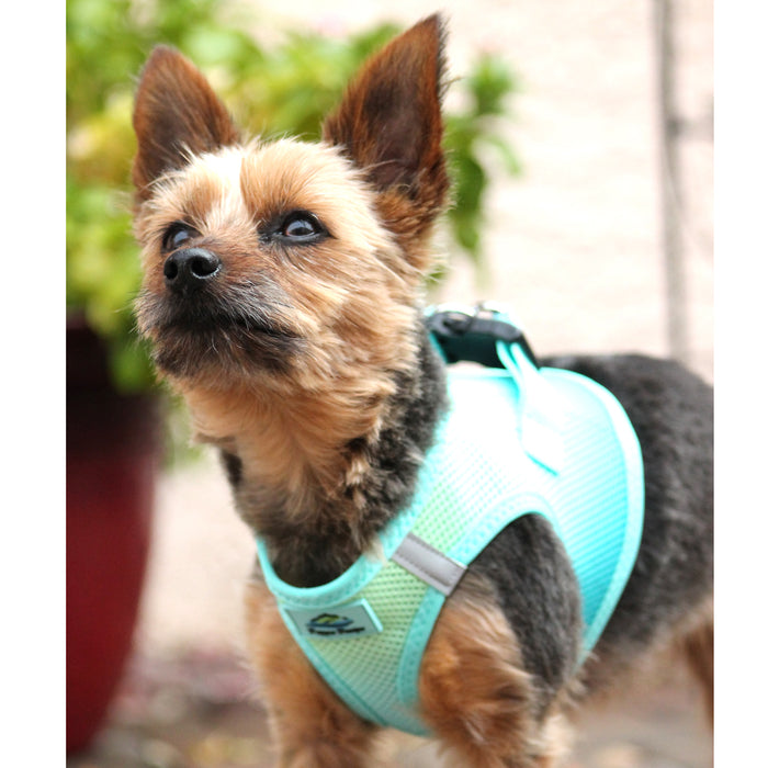 American River Choke Free Dog Harness by Doggie Design - Ombre Collection Aruba Blue