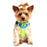 American River Choke Free Dog Harness by Doggie Design - Ombre Collection Cobalt Sport