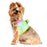 American River Choke Free Dog Harness by Doggie Design - Ombre Collection Rainbow