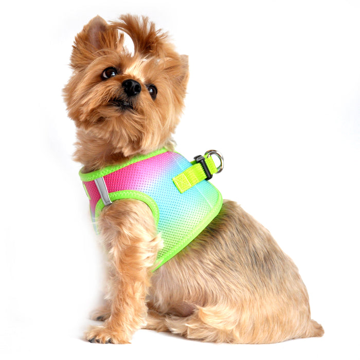 American River Choke Free Dog Harness by Doggie Design - Ombre Collection Rainbow