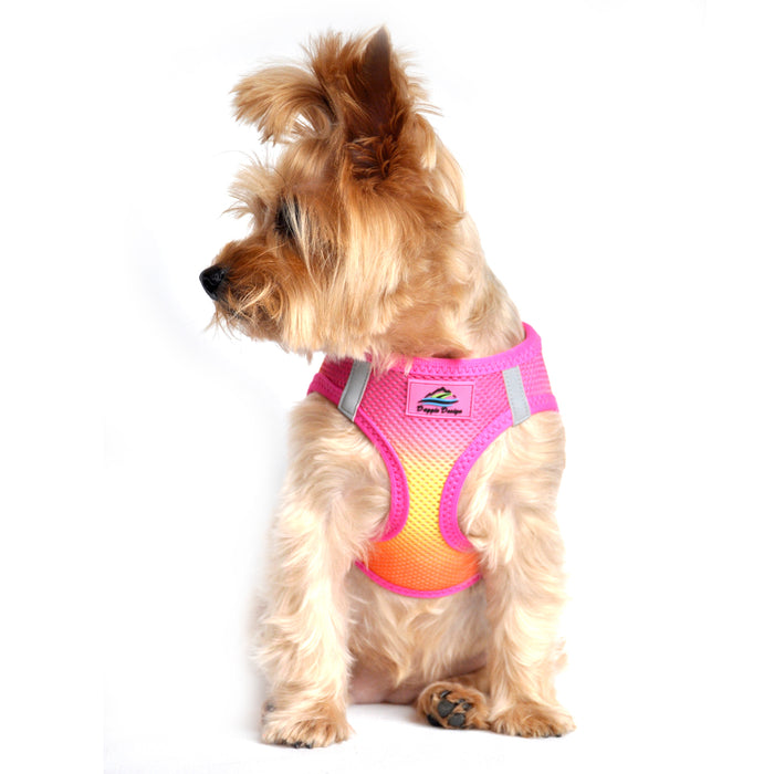 American River Choke Free Dog Harness - Ombre Collection Raspberry/Pink/Orange