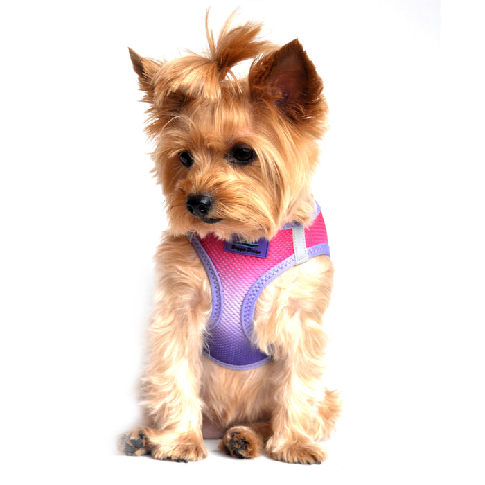 American River Choke Free Dog Harness by Doggie Design - Ombre Collection Raspberry Sundae