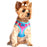 American River Choke Free Dog Harness by Doggie Design - Ombre Collection Sugar Plum