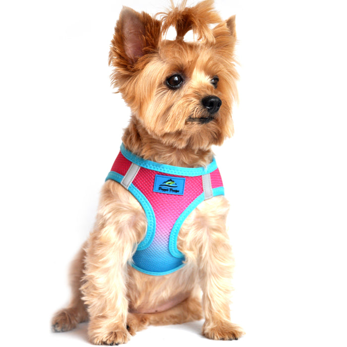 American River Choke Free Dog Harness by Doggie Design - Ombre Collection Sugar Plum