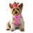 American River Choke Free Ultra Solid Dog Harness by Doggie Design Candy Pink