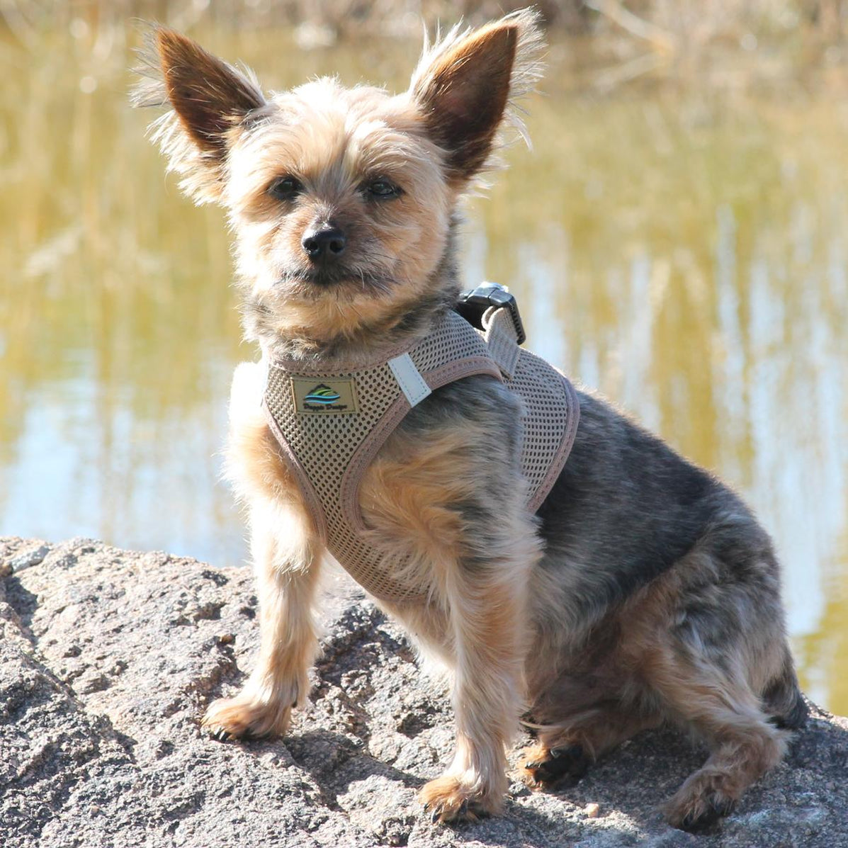 American River Ultra Hundegeschirr (XXXL, Candy Pink) – Erstickungsfreies Design Mit Brustzug, Reflektorstreifen & Verstellbarem Gurt