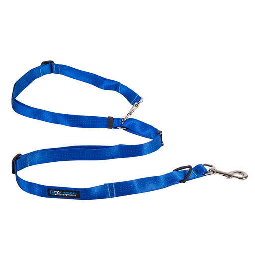 Beyond Control Dog Leash
