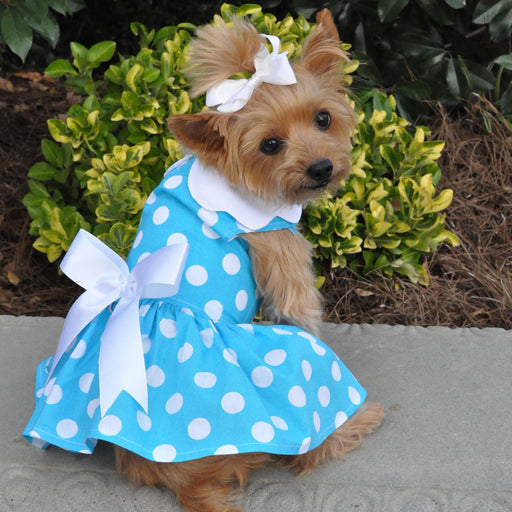 Blue Polka Dot Doggie Dress with Matching Leash