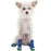 Argyle Slipper Dog Socks - Blue