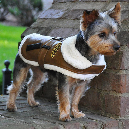 Brown & Black Faux Leather Bomber Dog Coat Harness and Leash by Doggie Design